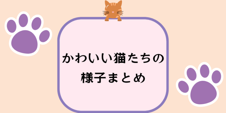 ていねいなくらし
